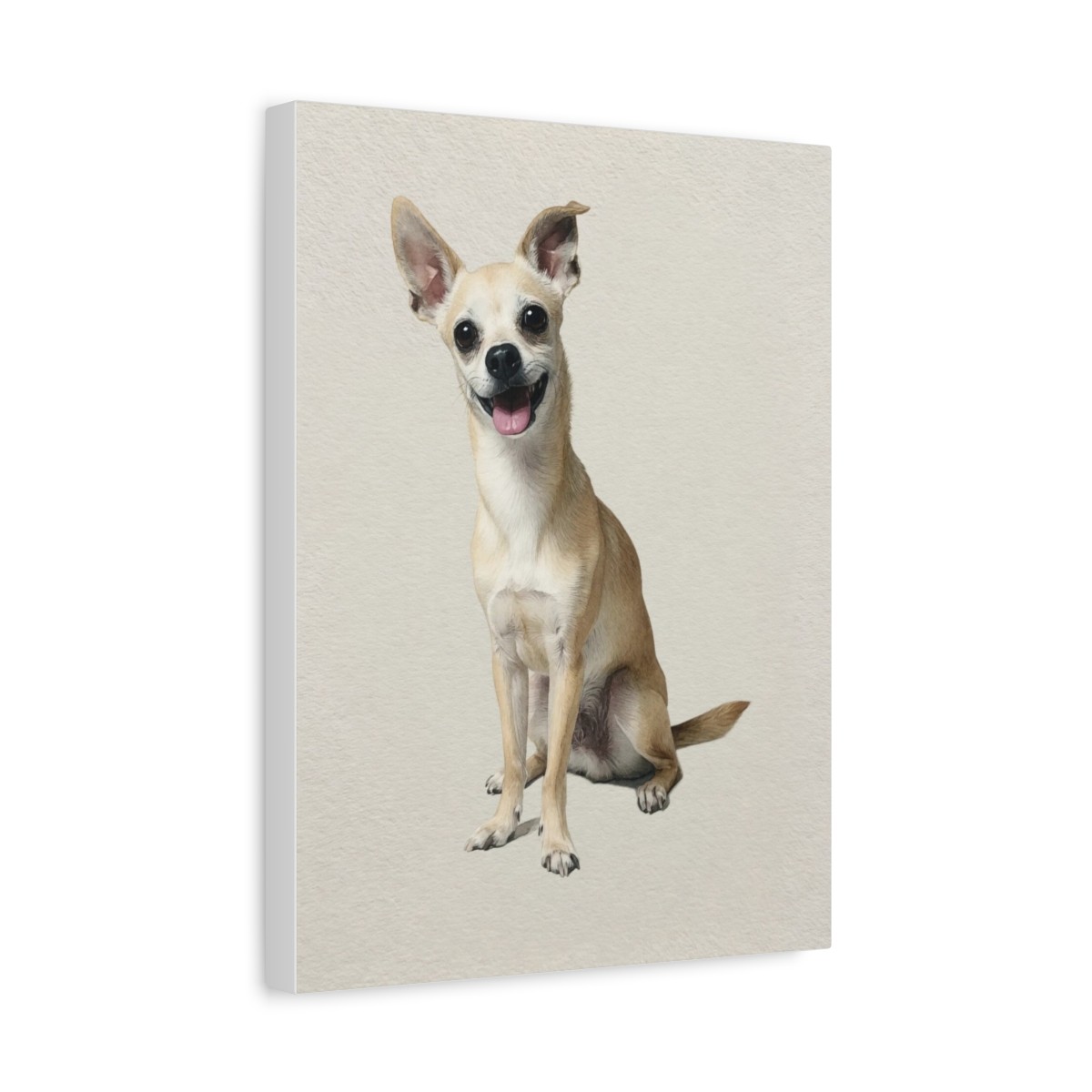 Stretched Canvas