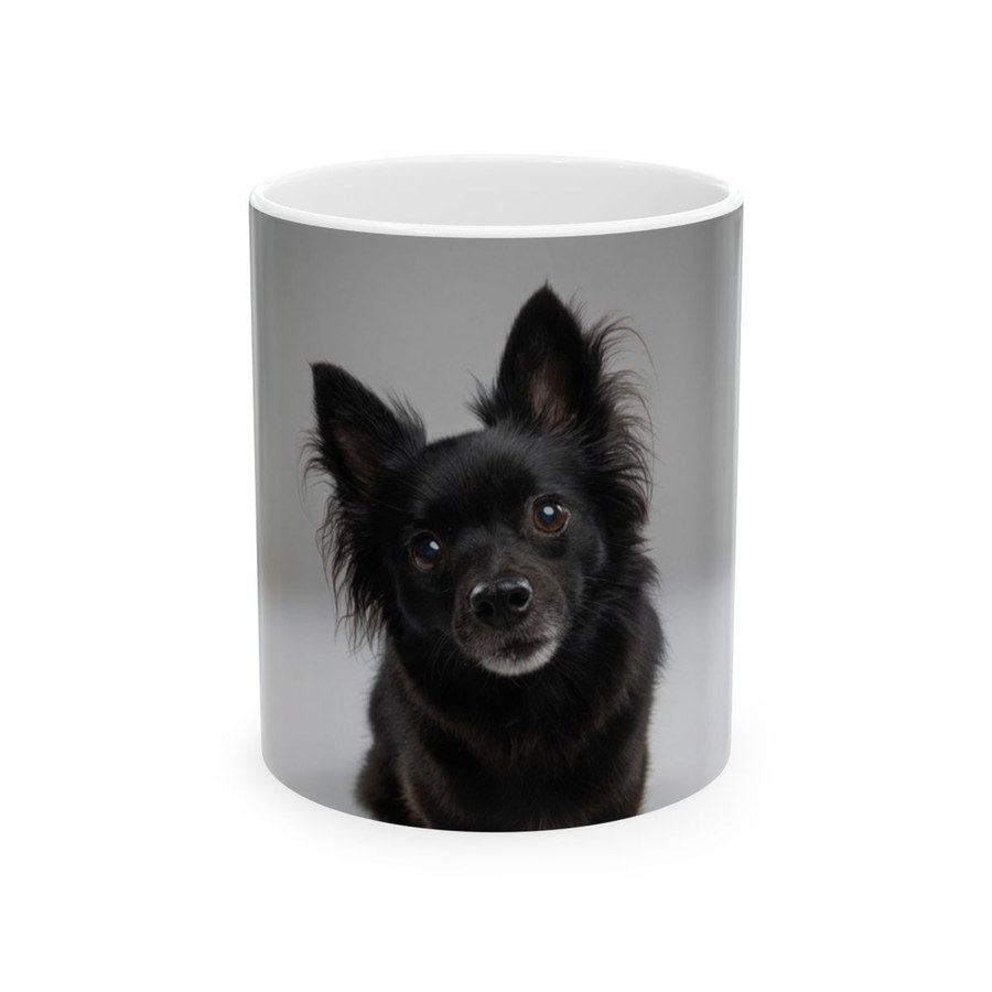 Ceramic Mug β 11oz