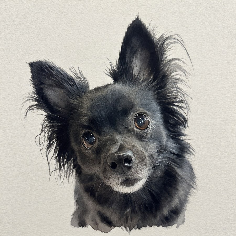Watercolor pet portrait